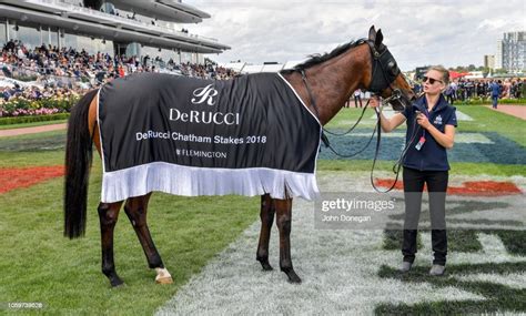 chatham stakes